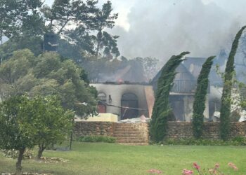 Cape in crisis: Agriculture assesses weather and fire damage
