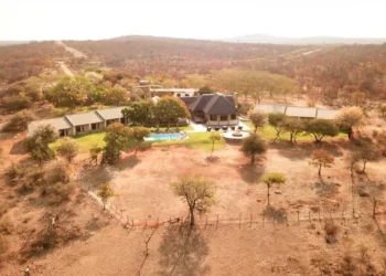 Formalising SA’s game meat sector might help struggling Limpopo CPA