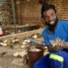Quail farmer has big plans for his budding bird business