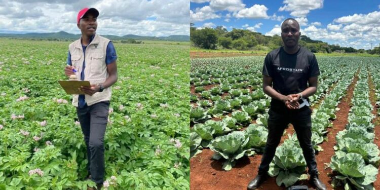 Reluctant Farmer Turns Into Leading Agritech Revolutionary In Zim reluctant-farmer-turns-into-leading-agritech-revolutionary-in-zim