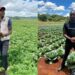 Reluctant farmer turns into leading agritech revolutionary in Zim