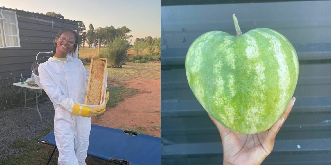 With her smallholding company, LAMMJ, visionary agripreneur Lindiwe Moroka has decided to rewrite farming rules and abandon conventional agricultural practices. Photo: Supplied/Food For Mzansi