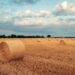 El Niño’s aftermath: Southern Africa seeks sustainable solutions