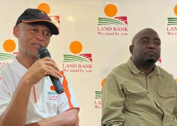 Land Bank executive Sydney Soundy discusses blended finance with Happy Letsitsa (right), a successful Free State crop farmer. They were participating in a lunch-time conversation series at the 2024 Nampo Harvest Day. Photo: Ivor Price/Food For Mzansi