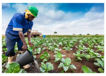 Strategic collaborations drive rural development initiatives