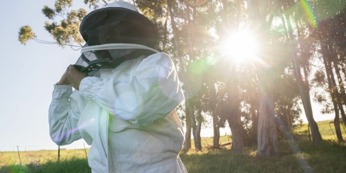 We explore the fascinating world of beekeeping with inspiring beekeepers who are not only producing delicious honey but also protecting our environment. Photo: Supplied/WWF