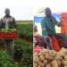 Butternut boss turns family farm into profitable enterprise