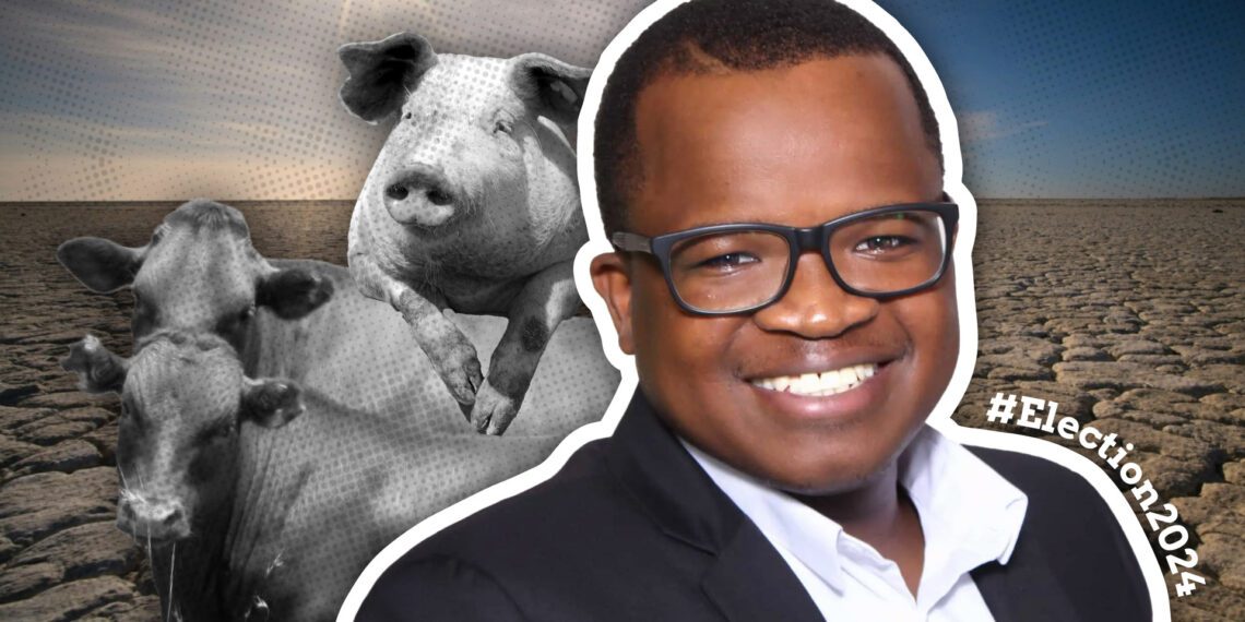 In this election opinion piece, Wandile Sihlobo says despite slow progress on the Agriculture and Agro-processing Master Plan (AAMP), the South African agricultural sector remains optimistic about growth. Photo: Food For Mzansi