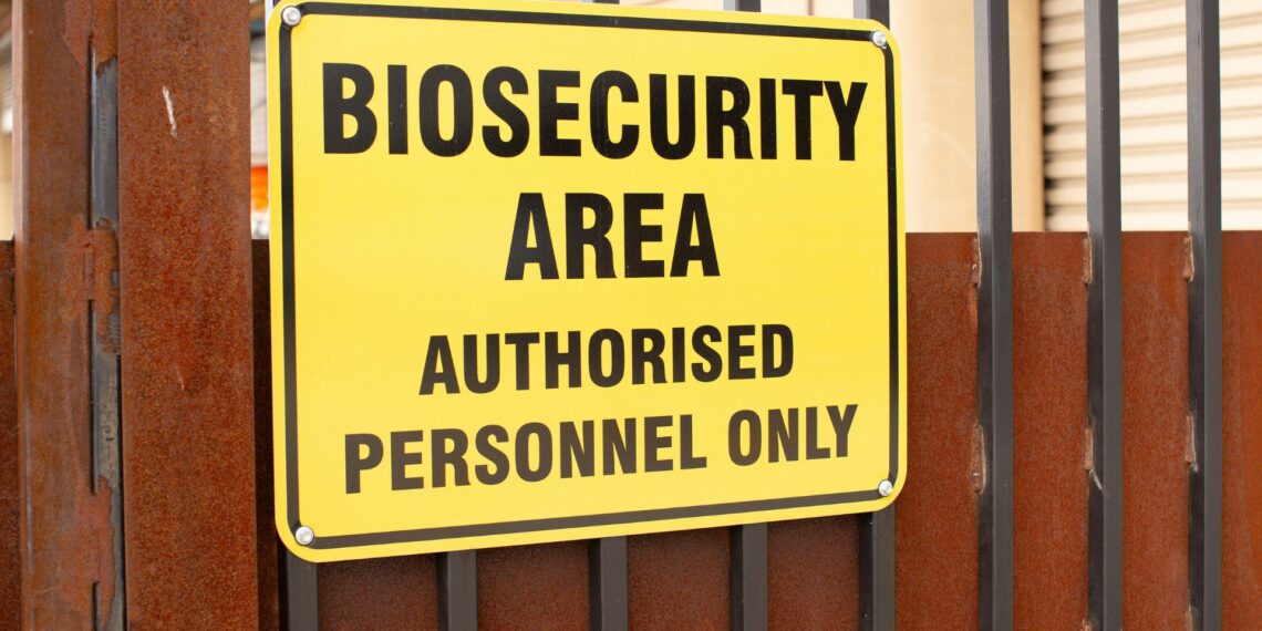 Biosecurity threats: Agbiz chief economist Wandile Sihlobo warns of the growing threat to the livestock industry from diseases like the recent US bird flu outbreak. Photo: Supplied/Food For Mzansi