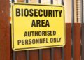 Biosecurity threats: Agbiz chief economist Wandile Sihlobo warns of the growing threat to the livestock industry from diseases like the recent US bird flu outbreak. Photo: Supplied/Food For Mzansi