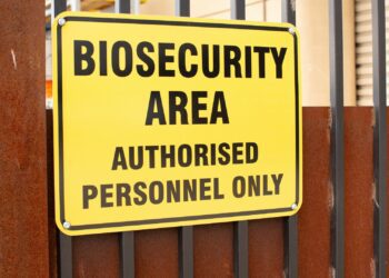 Biosecurity threats: Agbiz chief economist Wandile Sihlobo warns of the growing threat to the livestock industry from diseases like the recent US bird flu outbreak. Photo: Supplied/Food For Mzansi