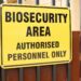 Biosecurity threats: Agbiz chief economist Wandile Sihlobo warns of the growing threat to the livestock industry from diseases like the recent US bird flu outbreak. Photo: Supplied/Food For Mzansi