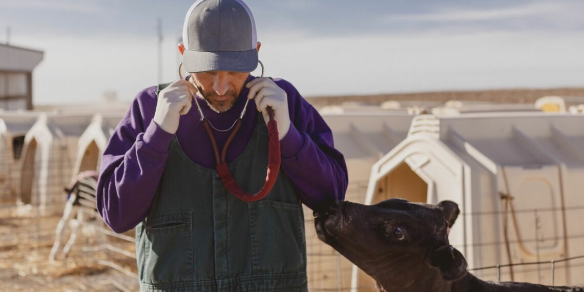 South Africa faces a critical shortage of veterinarians, essential for animal health, food safety, and zoonotic disease control. Boehringer Ingelheim is working to support existing vets and raise awareness of the profession’s vital role. Photo: Supplied/Food For Mzansi