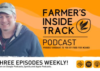 STDs in cattle: How to better protect your herd