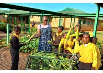 EduPlant sprouts hope in schools with food gardens