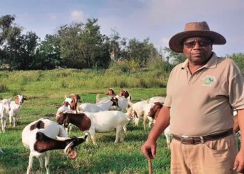 ICYMI: Afasa welcomes Mahape as chair