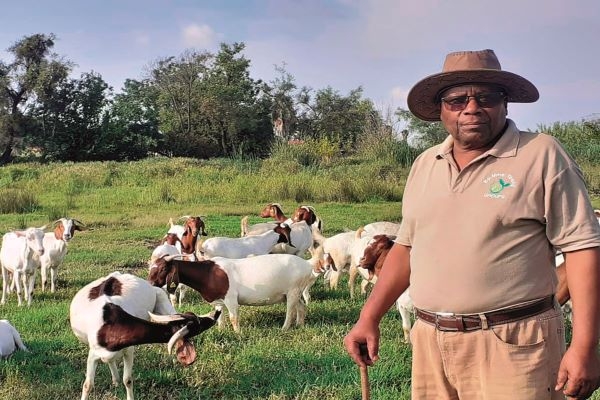 The new chairperson of Afasa, Molefe Mahape, is ready to take the organisation to new heights. Mahape farms goats and lucerne in Brits in North West. Photo: Supplied/Food For Mzansi