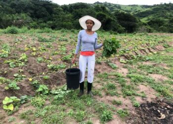 ICYMI: R3m farm acquisition sparks hope in KZN