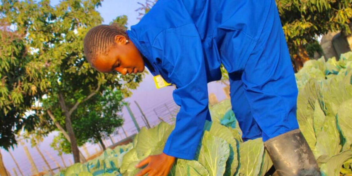 When her academic journey did not go well because of financial limitations, Miskien Machethe turned to farming and with her grandfather's help was able to start her own business. Photo: Supplied/Food For Mzansi