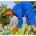 College dropout finds purpose in crop farming