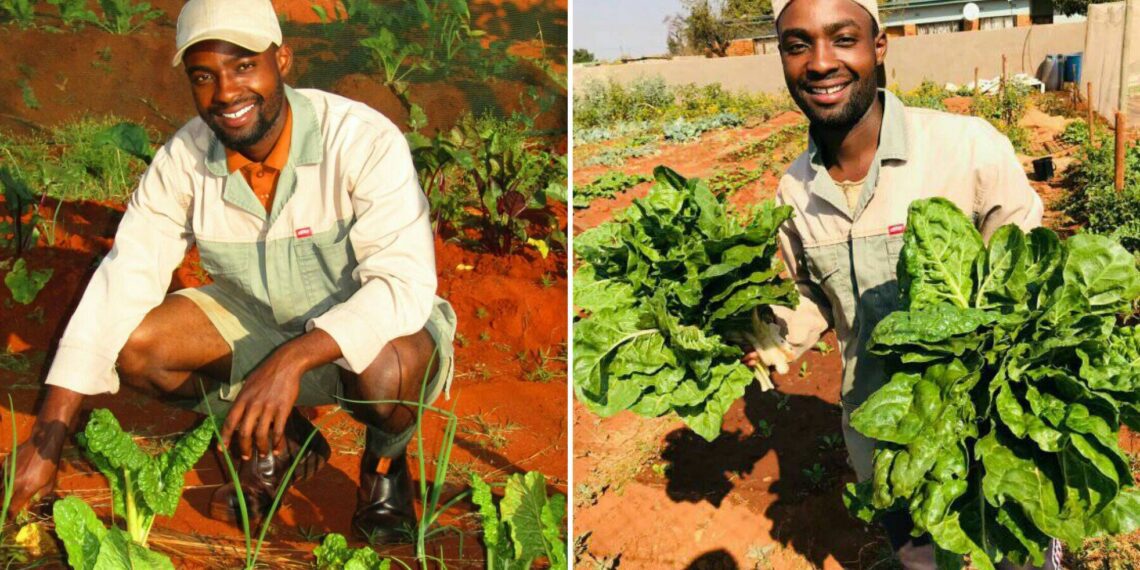 Peter Molepo's passion for agriculture is inspiring a generation! His project connects communities and empowers them to grow their own food. Photo: Supplied/Food For Mzansi