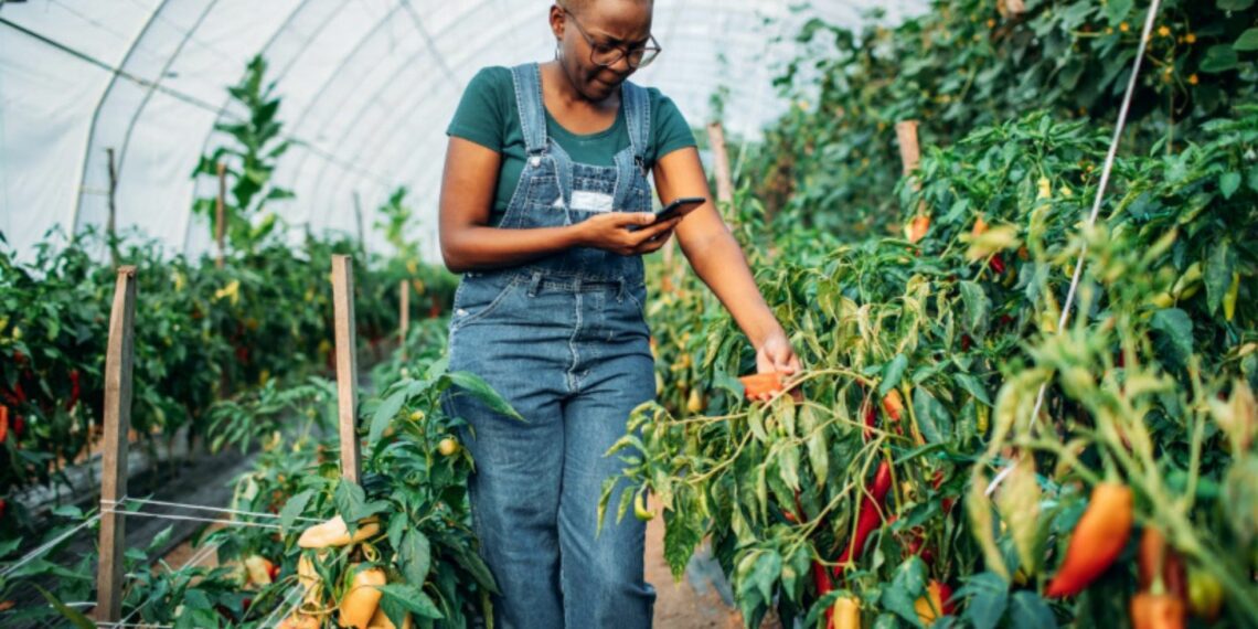 Investing in digital technology for rural farmers is important. This article explores how investing in digital technology for rural farmers can improve agricultural productivity, increase access to information and markets and more. Photo: Supplied/Food For Mzansi