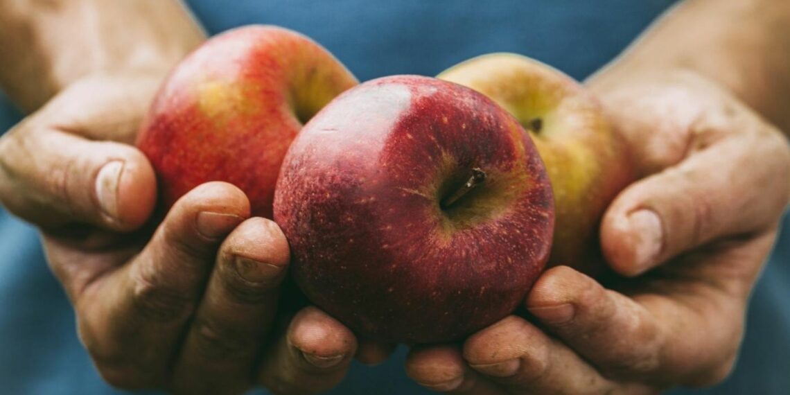 Food security is an issue that is close to Tru-Cape’s heart. For the past eight years, the fruit exporter has been involved in a campaign to alleviate hunger. Photo: Supplied/Tru-Cape