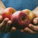 ICYMI: Tru-Cape helps to feed millions of South Africans in May