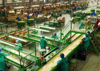 Agro-processing