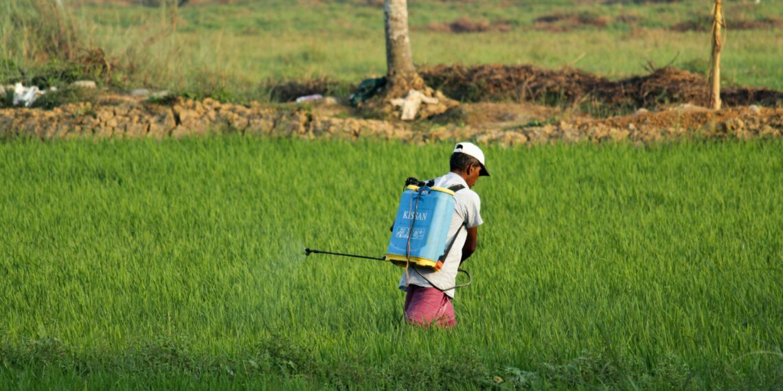 Pests are evolving resistance to pesticides. An integrated pest management strategy is crucial for crop farmers. Photo: Supplied/Unsplash
