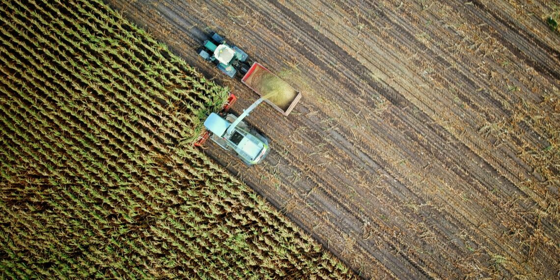 The agricultural sector continues to demonstrate resilience and adaptability amidst challenging circumstances. By closely monitoring market dynamics and implementing strategic interventions, stakeholders aim to ensure the stability of food prices and the resilience of the agricultural supply chain. Photo: Unsplash