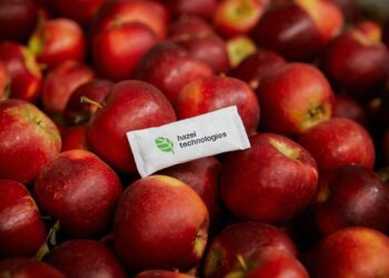 Hazel Technologies is revolutionizing produce preservation with their Hazel 100 sachet, which extends the shelf life of fruits and vegetables by up to 40%. Photo: Supplied/Food For Mzansi