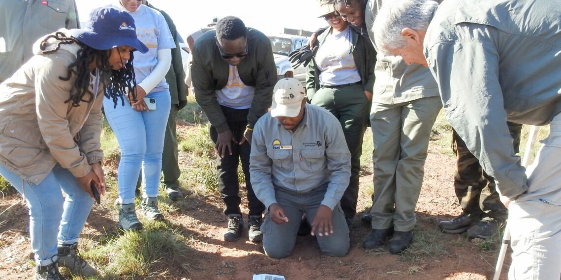 Researchers can read a lot into the pawprints of small mammals, even signs of climate change. Here, tracker trainers from EcoTraining instruct participants in a workshop. Photo: Supplied/Daily Maverick