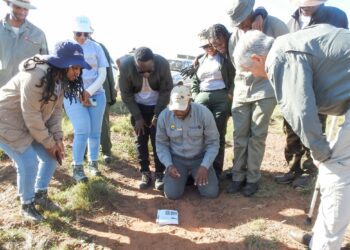 Tiny tracks: AI uncovers wildlife secrets, climate change clues