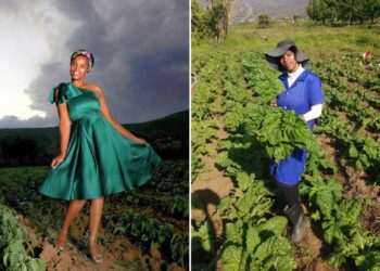 Young KZN farmer runs 10-hectare farm like clockwork