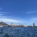 Shocking SA port ranking rings alarm bells for fruit industry
