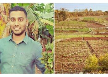 Amaranth ambitions: Naidoo builds empire on KZN hilltop
