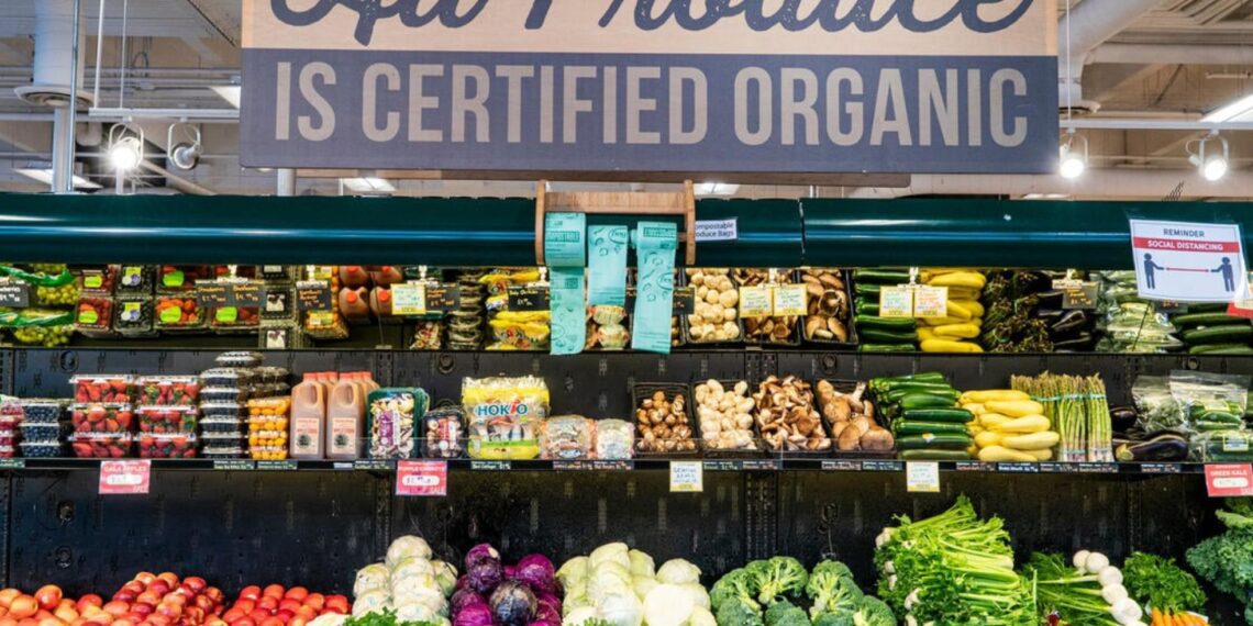 According to experts, since the 1950s, plastic production has skyrocketed, leading to pervasive pollution. This article explores false solutions that keep plastic pollution thriving. Photo: Supplied/Green Peace