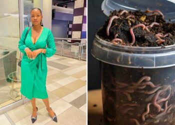 ‘Worm Mom’ turns waste into compost gold