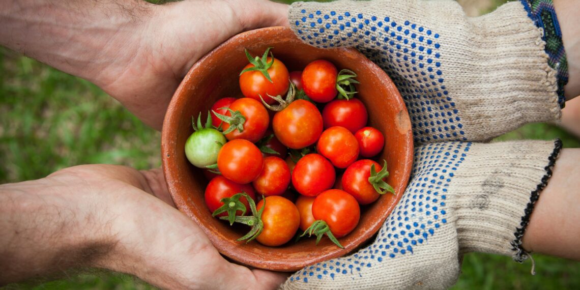 World Food Safety Day is celebrated every year on 7 June. This year, experts say everyone in the food value chain must prepare for the unexpected. Photo: Unsplash