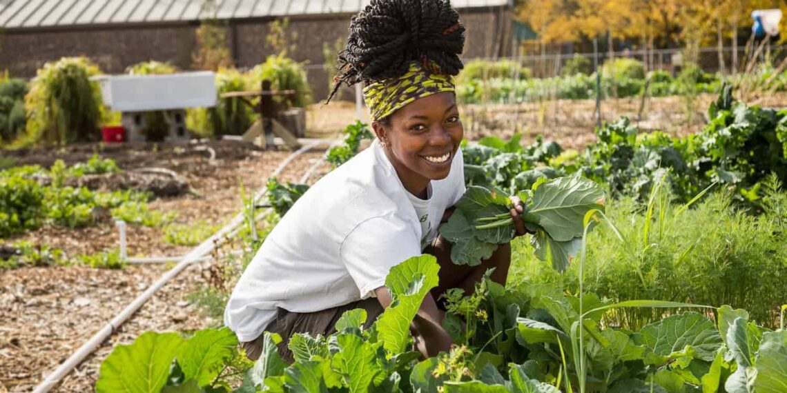 This week’s agri events include a rose pruning demo, a livestock auction, and a youth in agriculture workshop. Photo: Supplied/Food For Mzansi