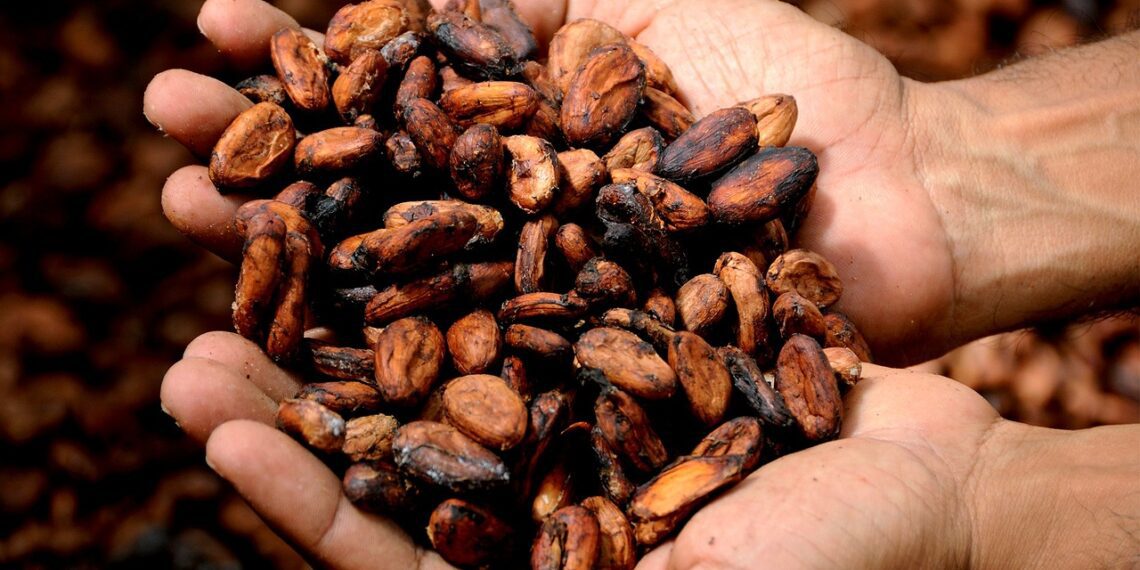 Global chocolate prices are soaring due to rising cocoa and sugar costs, driven by unfavourable weather and supply chain issues. Photo: Pixabay