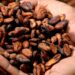 Rising cocoa prices hit South Africa hard