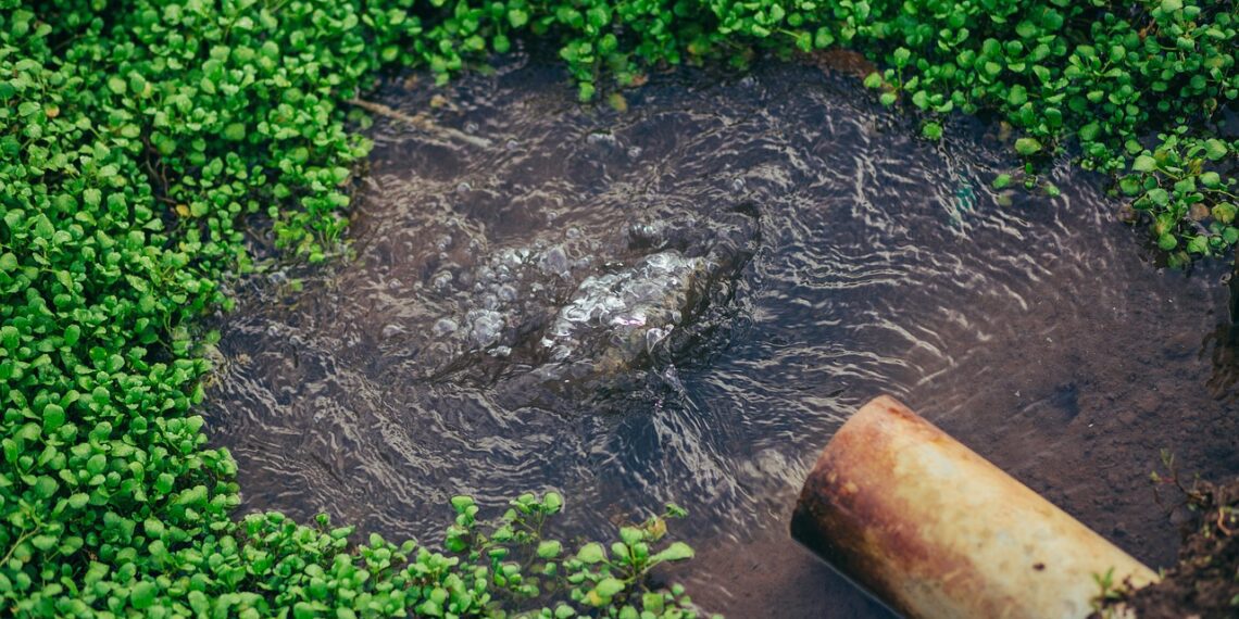 Experts share guidelines on designing water efficient irrigation systems to curb water scarcity and food insecurity. Photo: Pixabay