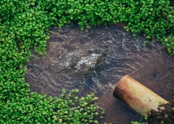 Use water wisely with a well-designed irrigation system