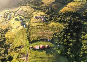 Save the environment: Food waste adds to land degradation