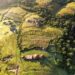 Save the environment: Food waste adds to land degradation