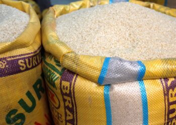 High rice price squeezes South African consumers