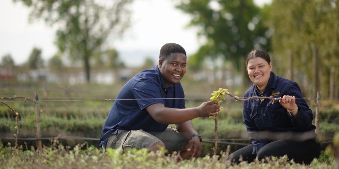 Vusi Dalicuba and Tamsin Valentine help to craft exceptional wines at Vergenoegd Löw in Stellenbosch, Western Cape with a blend of tradition and innovation. Photo: Supplied/Food For Mzansi