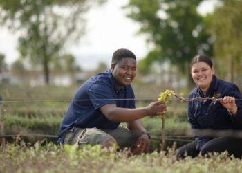 Vusi Dalicuba and Tamsin Valentine help to craft exceptional wines at Vergenoegd Löw in Stellenbosch, Western Cape with a blend of tradition and innovation. Photo: Supplied/Food For Mzansi